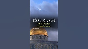 قرآن كريم | ☪️📿✨🕌🔥🌺☝️📖✅| Quran#quranayat#quransurah#qurantemplate #fyp#islam