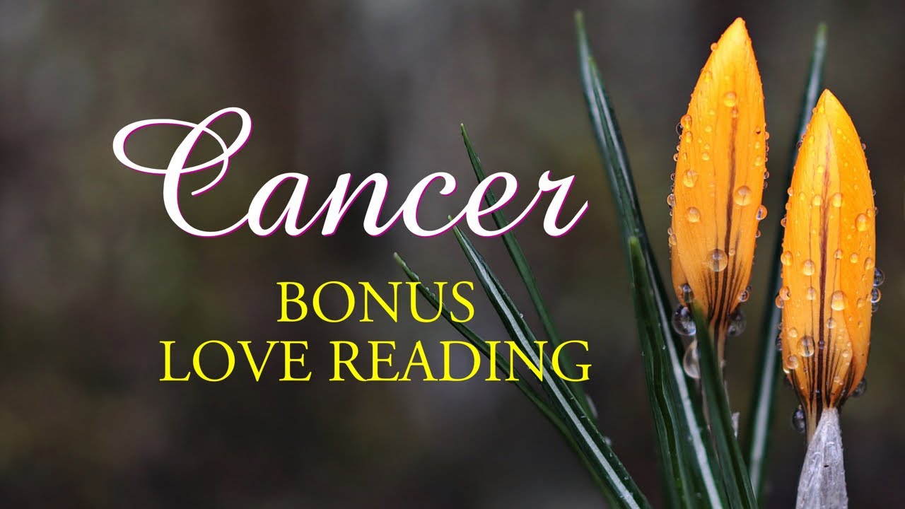 CANCER tarot love ♋️ This Person Feels That They Have Made A Mistake. They Are Coming With An Offer