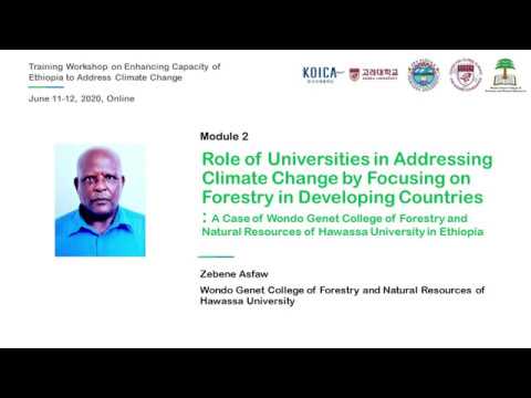 Hawassa Workshop Module 2 June 11 2020
