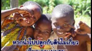 เพลงพันธุกรรม