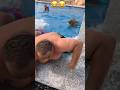 Tiger In The Pool Funny Tiger Pool 