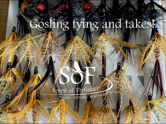 SoF - Spirit of Flyfisher - Gosling Tying and Takes 