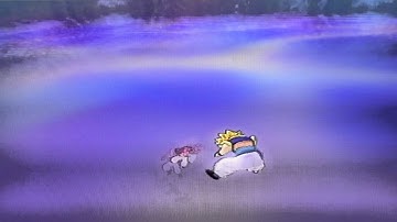 DBZ Tenkaichi 3 - Hawk