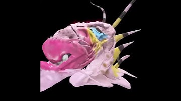 Alien Camel Hopper VR sculpture by cabel adams using oculus medium adobe medium in virtual reality