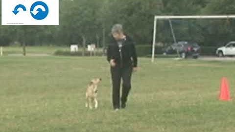 (450) Switch Side 180 Pivot