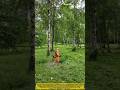 This Brush Cutter Clears an Entire Field Faster Than You Think!