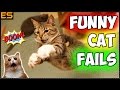 Лучшие Приколы с Котами / Funny Cats Fails Compilation   #2