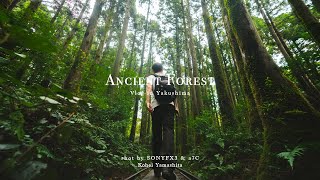 ANCIENT FOREST | CINEMATIC VLOG by SONY FX3 & DJI Mavic Air 2S ,Yakushima