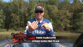 Rage Structure Bug for BIG bass- Extreme Edge