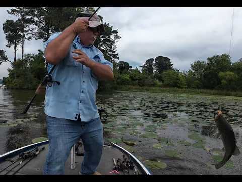 Guntersville bass fishing- August