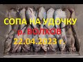 Рыбалка на Сопу на удочку, река Волхов, 22 апреля 2023