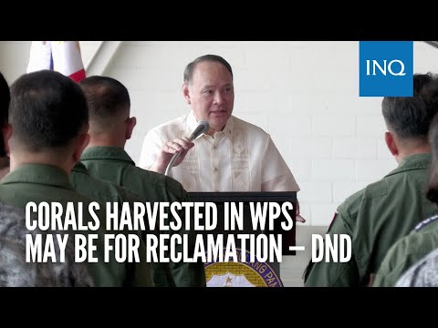 Corals harvested in WPS may be for reclamation — DND