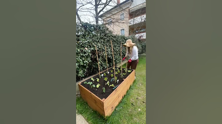 Orto rialzato 👩‍🌾