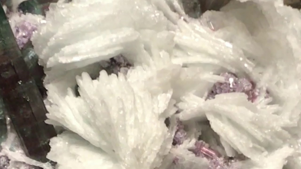 live free armory Albite