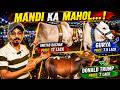Karachi Cattle Market | Eid Ul Adha 2026 | Karachi Mandi Latest Situation | TV One USA