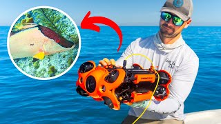 Using Underwater DRONES To Find BIG Fish! (Offshore Bottom Fishing)