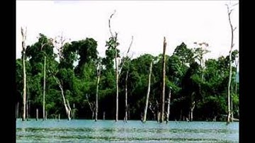 BPR-hilang