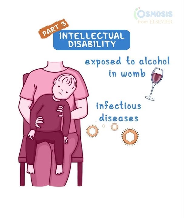 Intellectual Disability pt 3