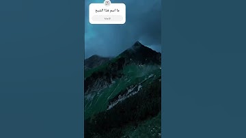 #قرآن_كريم #تلاوة_خاشعة #اكتب_شي_تؤجر_عليه #اكسبلور #yasseraldossary #قرآن #دويتو #المصحف #duet