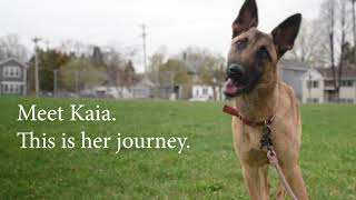 Kaia's Journey to Run