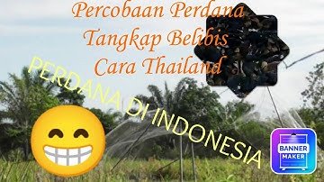 Traps Belibis Ala Cara Negara Thailand