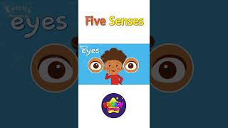 Kids vocabulary - Five Senses - Learn English for kids - English educational video #shorts