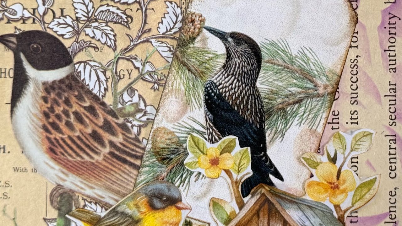 #CCCJLC Неделя 1, ведущая @JodiLewisCreations