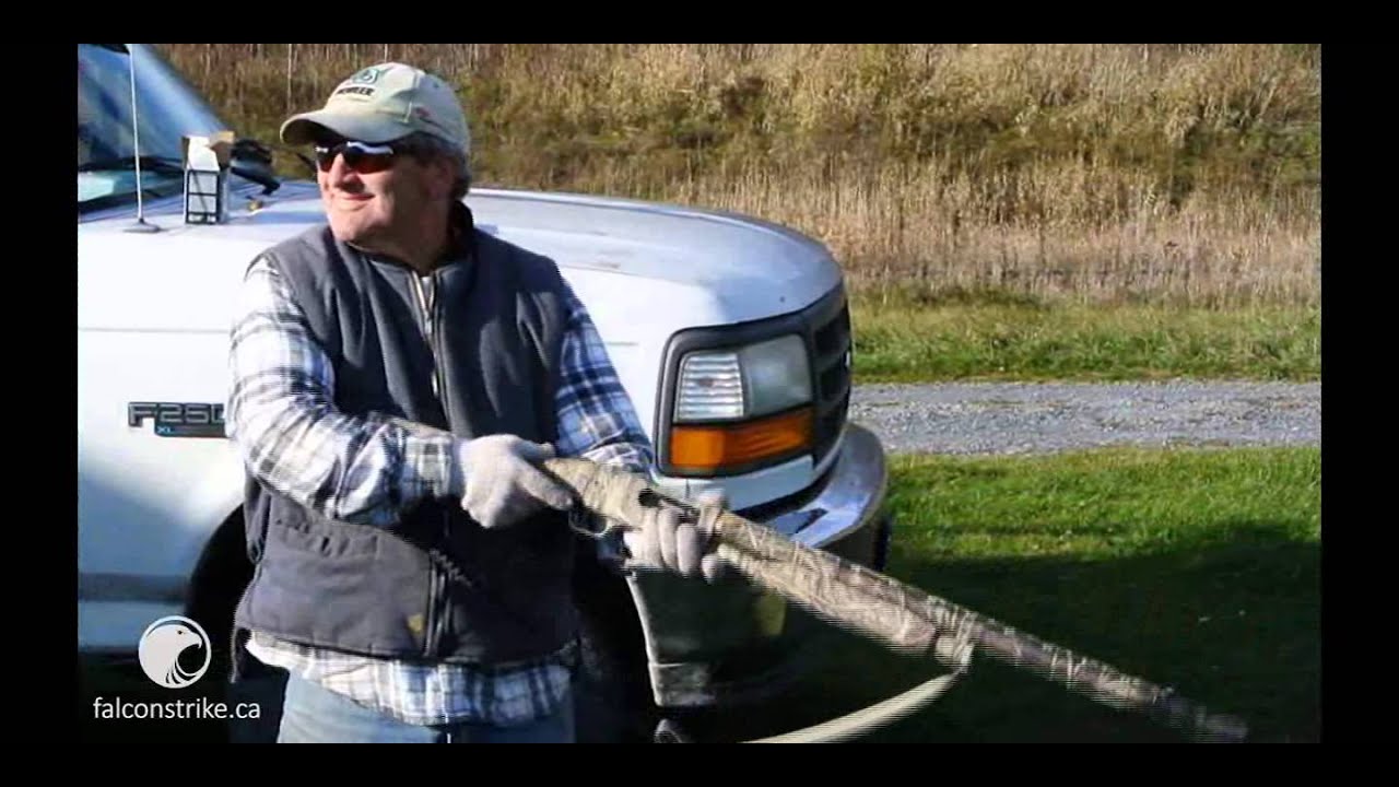 Falcon Strike Recoil Pad Testimonial YouTube