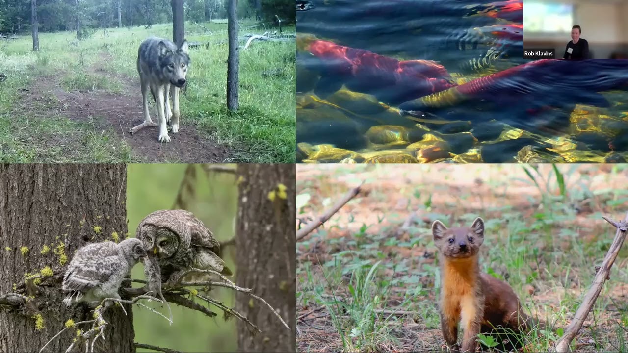 PIELC 2023 - Eastside Forests: Cut and Dry?