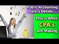 Do CPAs Make Good Money? Public Accounting Salary Progression (Very Detailed)