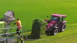 JC Organic Barley from New Zealand Information and facts