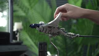 My Favorite Artwork-Stodeer Metal Mechanical Manta Ray