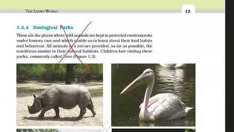 Rationalized Syllabus  Deleted portion Class 11 Biology 2021 22