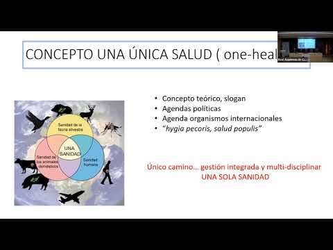 Conferencia de la