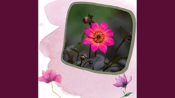 Pulsating Calming Sunday