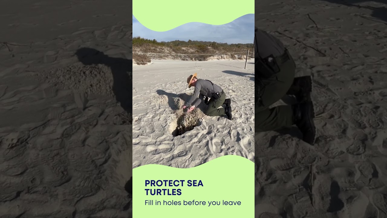 Beach tips with Ranger Sammy: Fill in Holes