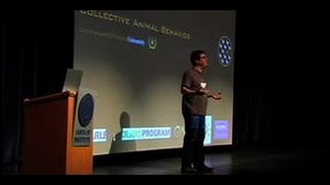 From Democratic Consensus to Cannibalistic Hordes: The Principles of Collective Animal Behavior