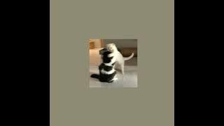 informant telling - chief keef (sped up)