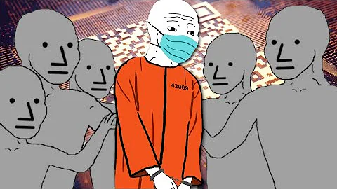 What have they done to us?