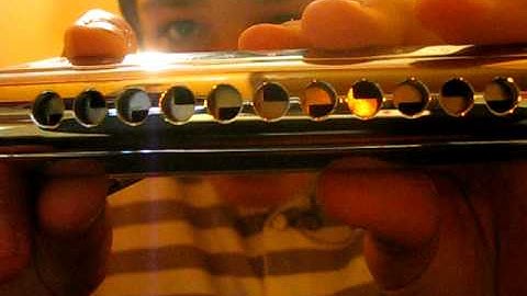 chromatic harmonica vs diatonic