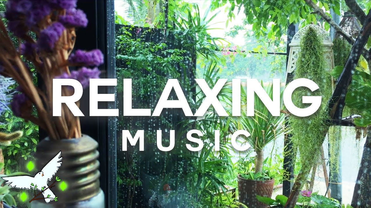 Magnificent Soul Relaxing Music • Study & Concentration Music, Stress