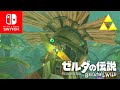 【ゼルダの伝説botw】ラバーキャップ入手法（雷怖い） #327