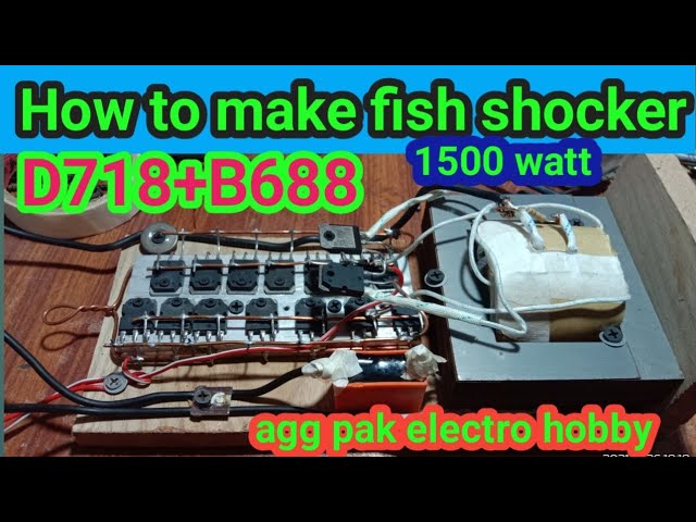 Fish shock Electric use 3 amp transformer 