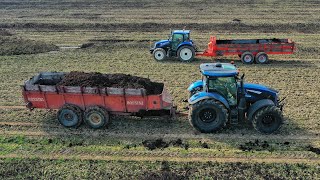 Spargimento Letame | Landini 7-180 - New Holland T5.95 - Merlo 38.10 | MANURE SPREADING