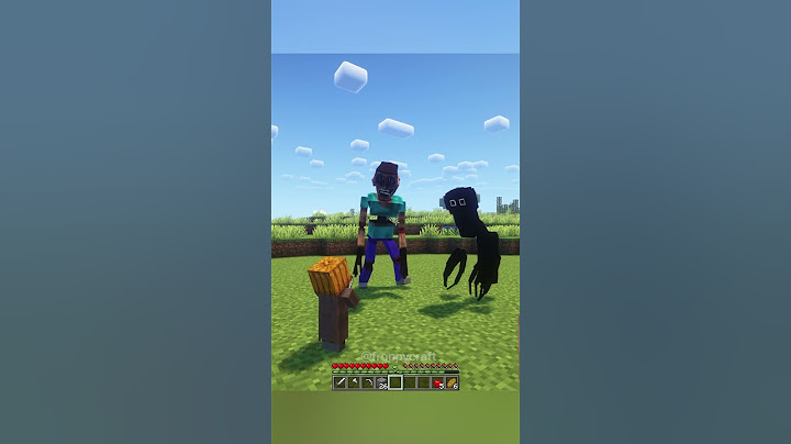 Minecraft Meme