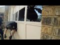 Archive: Multiple Officers Shot During Ambush. Stockbridge, GA. April 04, 2019.