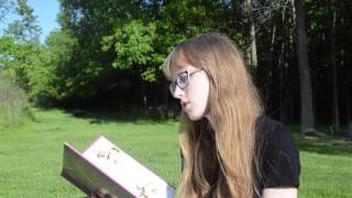 the princess knight read-aloud screenshot 1