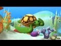 Sea Turtles, Alex educational cartoon - Discover the ocean with cartoons