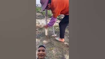 Dụng Cụ Nhổ Cột Đơn Giản #farming