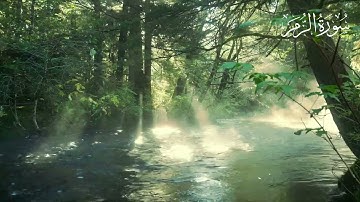 سورة الزمر بصوت الشيخ محمد جبريل